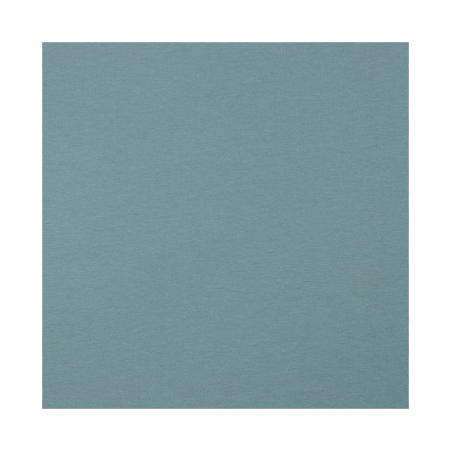 Organic Jersey Sky Blue