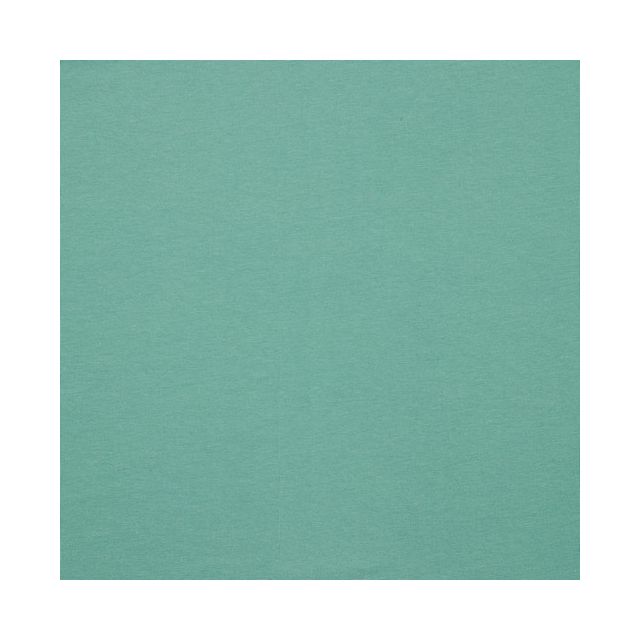 Organic French Terry - Sea Green (14)