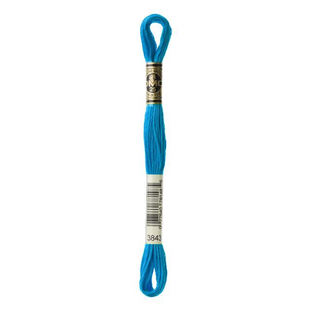 Col. 3843  DMC - SIX-STRAND EMBROIDERY FLOSS