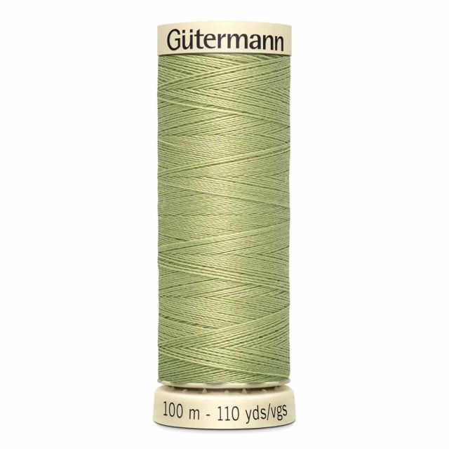 Thread - Mist Green - 721